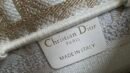 Dior Book Tote Bag