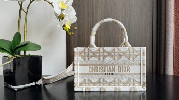 Dior Book Tote Bag