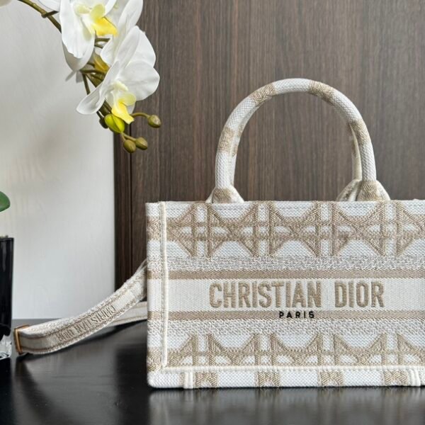Dior Book Tote Bag