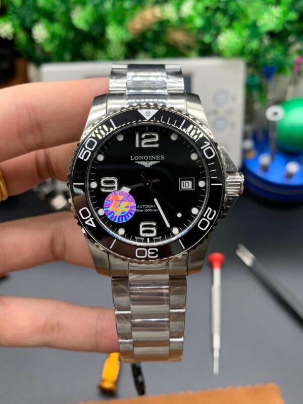 ZF - Image 2